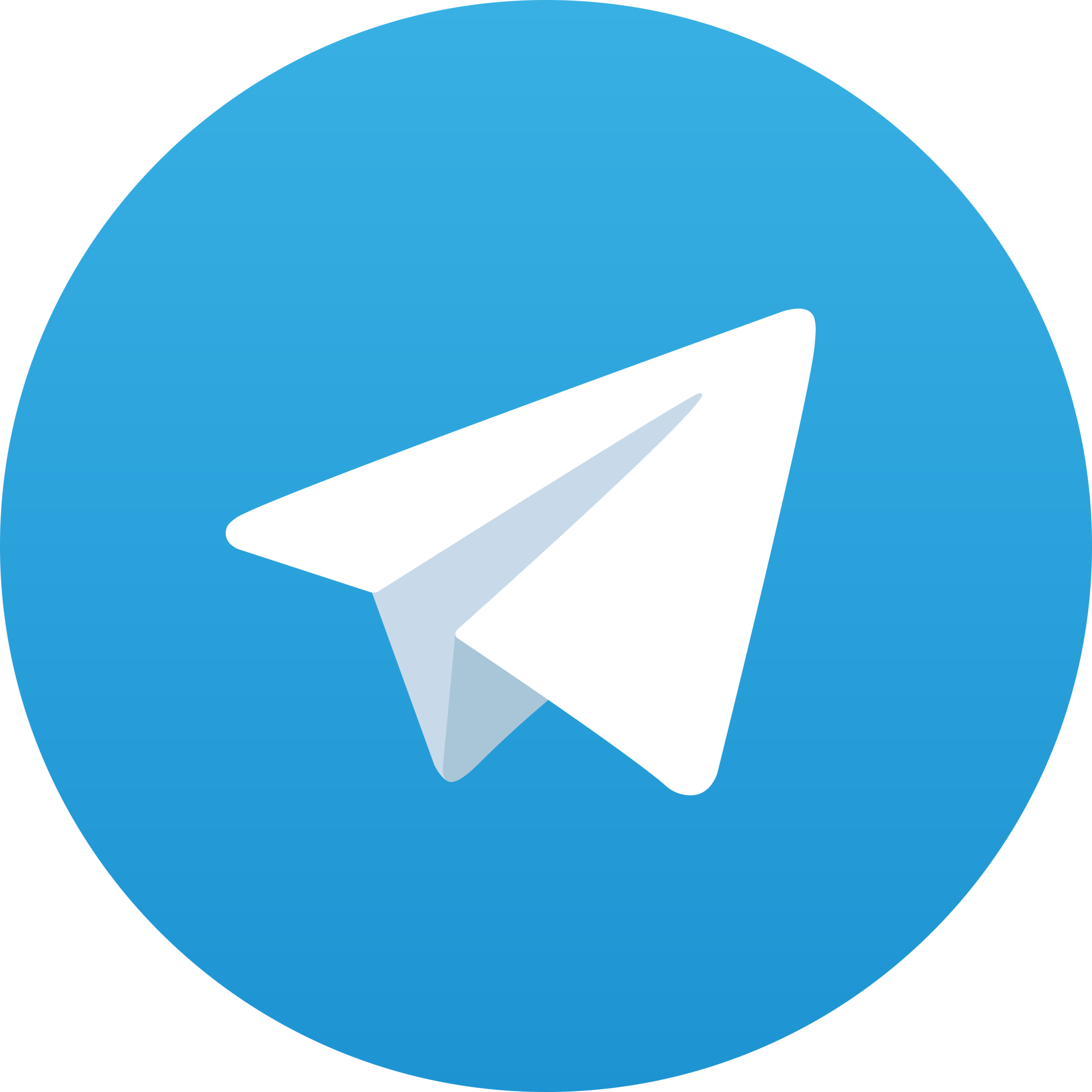 Telegram icon